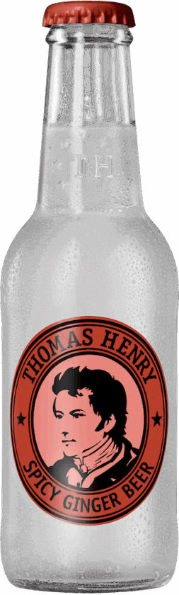 Thomas Henry Spicy Ginger Beer