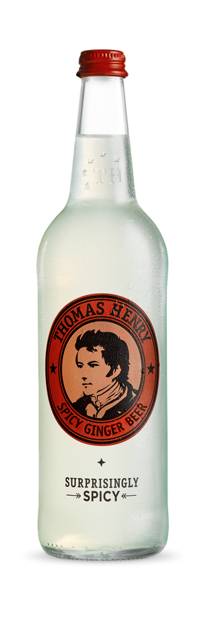 Spicy Ginger Beer 25.4 oz bottle